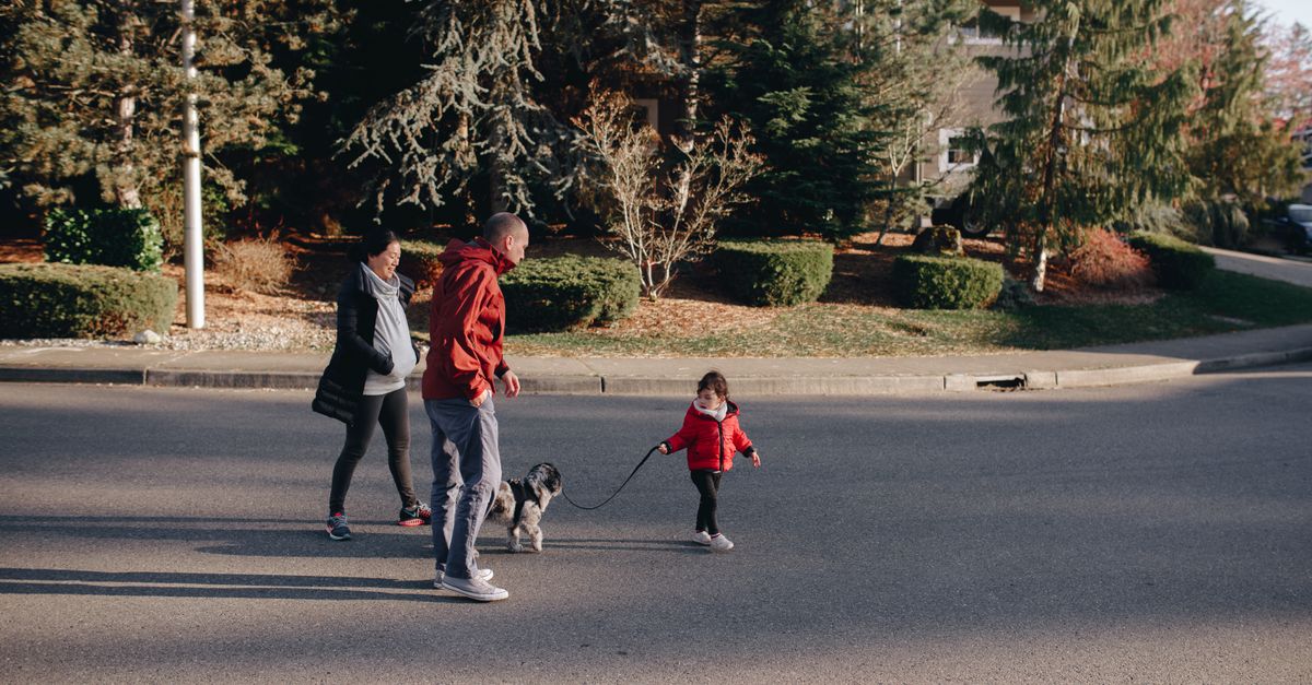 A family walking their dog on a quiet suburban neighborhood street